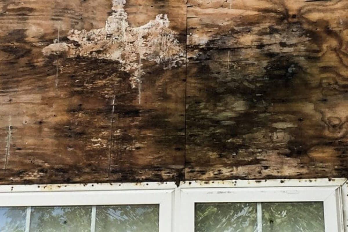 10 Common Myths About Stucco Remediation KLM Contractors